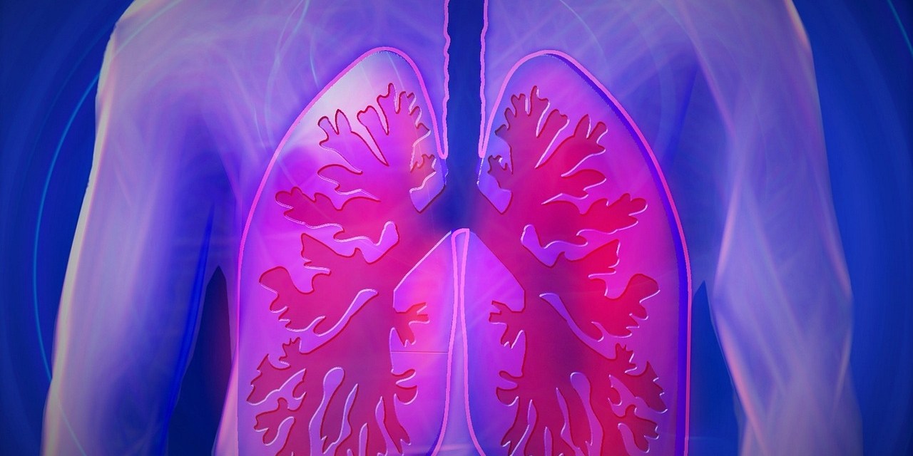 mesotelioma pleural
