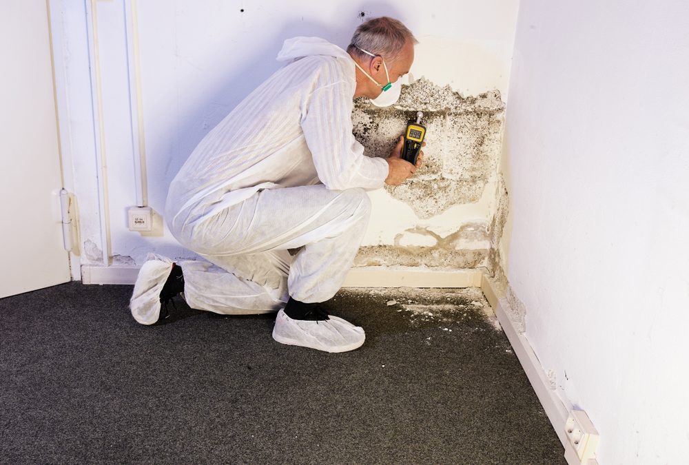 Qué peligros ocasiona el asbesto en las paredes